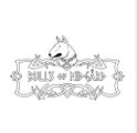 UddevallaBulls - Bullterrier